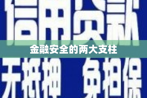 武鸣金融安全的两大支柱