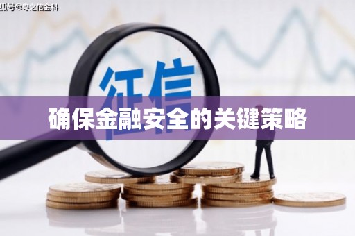 武鸣确保金融安全的关键策略