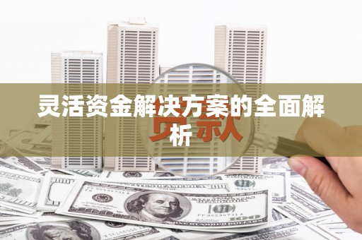 武鸣灵活资金解决方案的全面解析