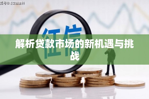 武鸣解析贷款市场的新机遇与挑战