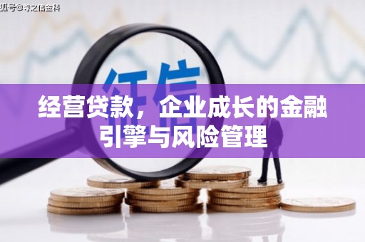 武鸣经营贷款，企业成长的金融引擎与风险管理