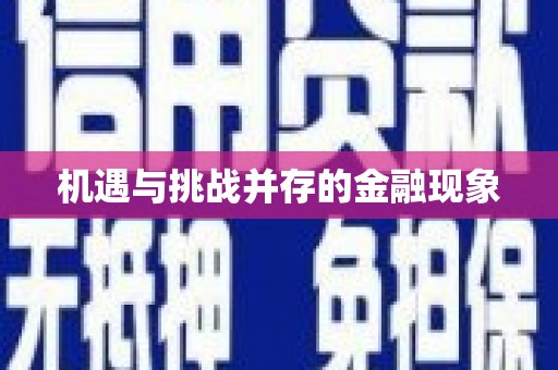 武鸣机遇与挑战并存的金融现象