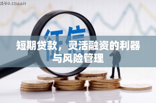 武鸣短期贷款，灵活融资的利器与风险管理