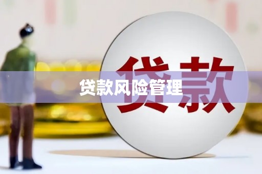 武鸣贷款风险管理