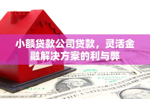 武鸣小额贷款公司贷款，灵活金融解决方案的利与弊