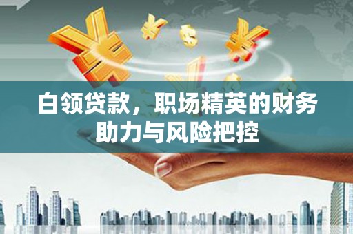 武鸣白领贷款，职场精英的财务助力与风险把控