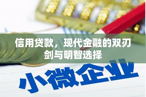 武鸣信用贷款，现代金融的双刃剑与明智选择