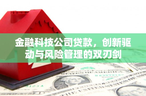 武鸣金融科技公司贷款，创新驱动与风险管理的双刃剑